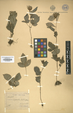 LE 01008494