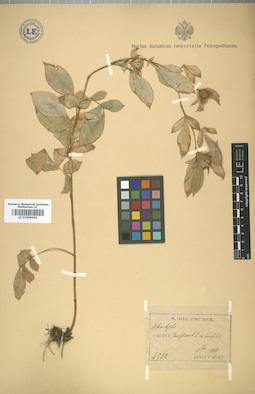 LE 01008495