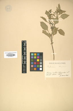 LE 01008517