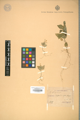 LE 01008522