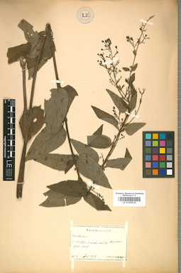 LE 01008536