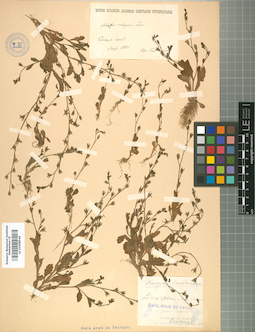LE 01008544