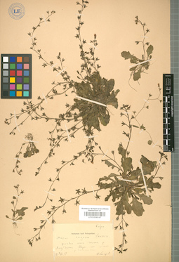 LE 01008547