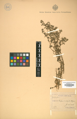 LE 01008549