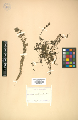 LE 01008551