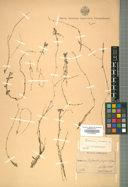 LE 01008552