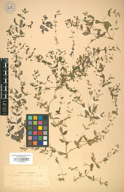 LE 01008557