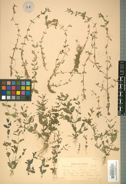 LE 01008558