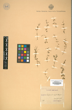 LE 01008559