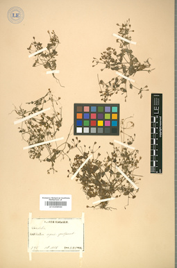 LE 01008560