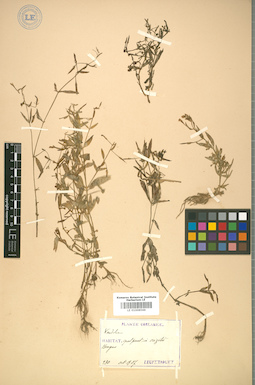 LE 01008569
