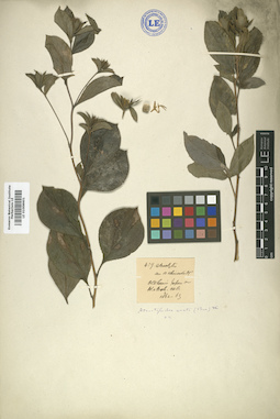 LE 01008601