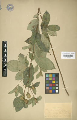 LE 01008604