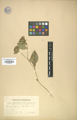 LE 01008605