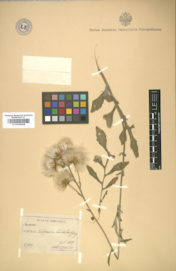 LE 01008608