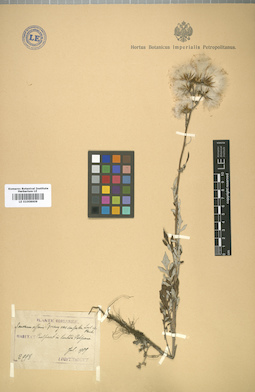 LE 01008609