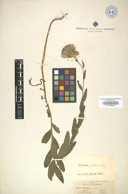 LE 01008620