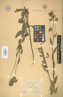 LE 01008622