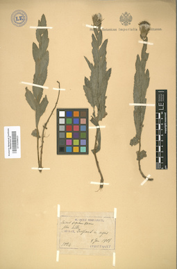 LE 01008623