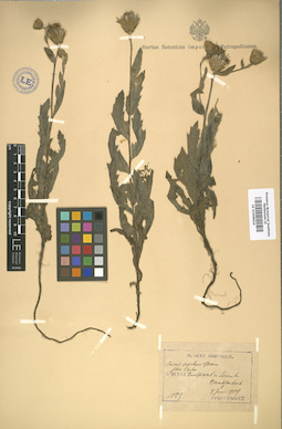 LE 01008624