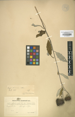 LE 01008676