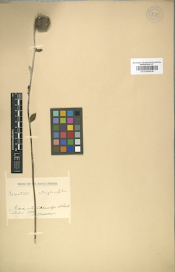 LE 01008678