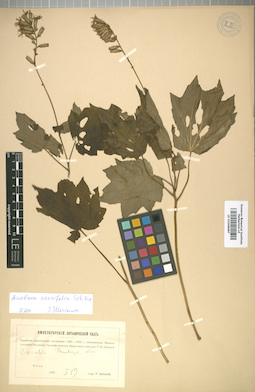 LE 01008687