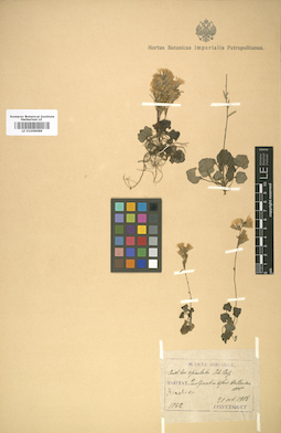 LE 01008689