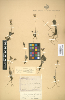 LE 01008690