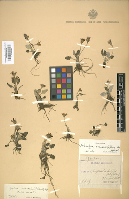 LE 01008691