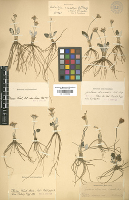 LE 01008692