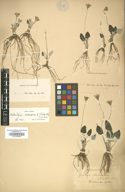 LE 01008693