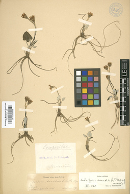 LE 01008694