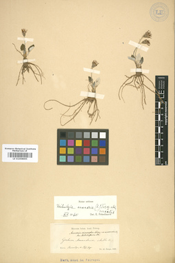 LE 01008695
