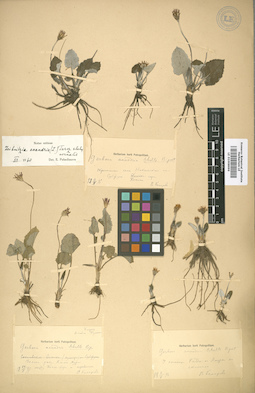 LE 01008696