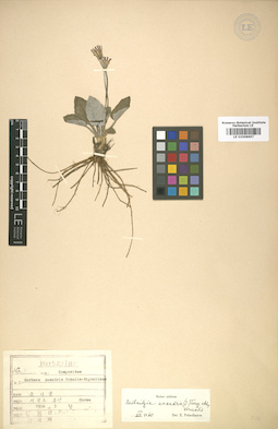 LE 01008697