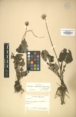 LE 01008698