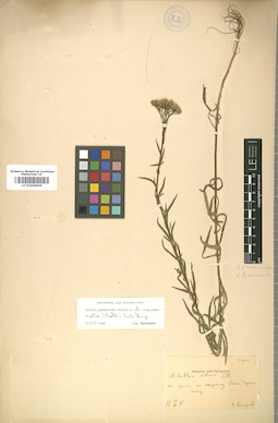 LE 01008699