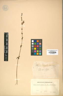 LE 01008702