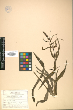 LE 01008712