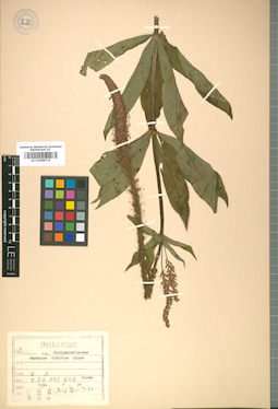 LE 01008715