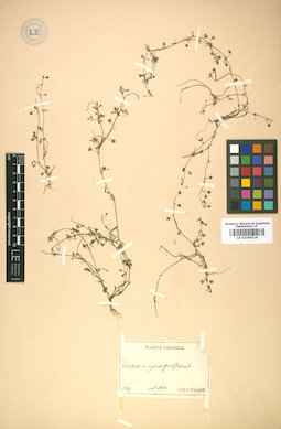 LE 01008718