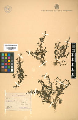 LE 01008719