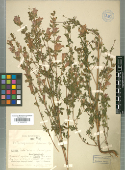 LE 01008733