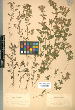 LE 01008734
