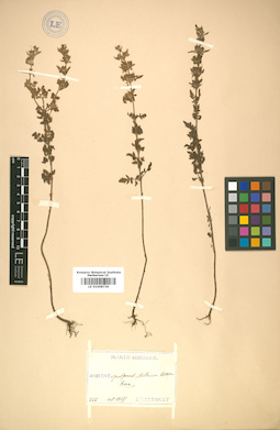 LE 01008736