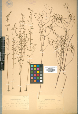 LE 01008743