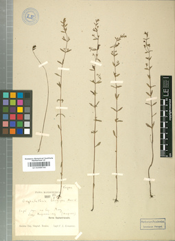 LE 01008744