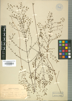 LE 01008745