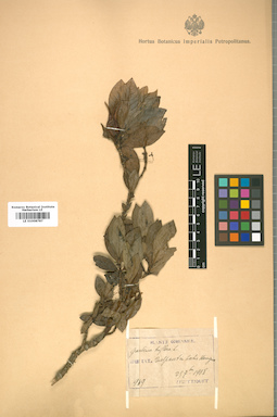 LE 01008787